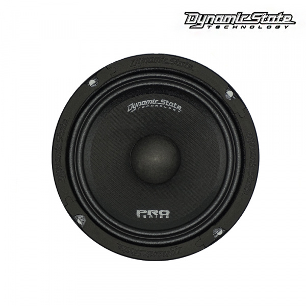 Dynamic State PRO PM-165.2N Среднечастотник (среднечастотный динамик) - цена, описание и отзывы - фото