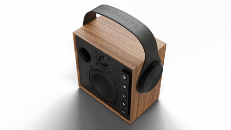 MOREL BIGGIE OAK WOOD Встраиваимая домашняя двухполосная акустическая система - цена, описание и отзывы - фото