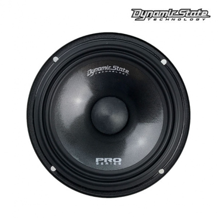 Dynamic State PRO PM-165.3 Среднечастотник (среднечастотный динамик) - цена, описание и отзывы - фото