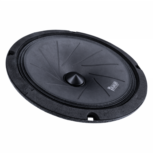 AMP Mass FR65 Широкополосник (Широкополосный динамик) - цена, описание и отзывы - фото