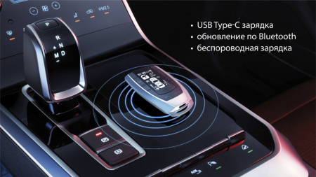 Pandora Commander (D-061) брелок Автосигнализация - цена, описание и отзывы - фото