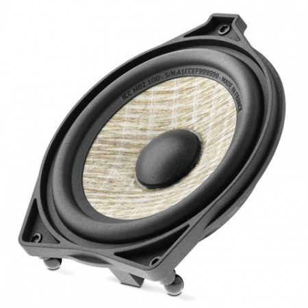 Focal ICC MBZ100 Центральный канал - цена, описание и отзывы - фото