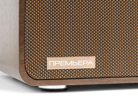 PREMIERA ES-422A WN к Встраиваимая домашняя двухполосная акустическая система - цена, описание и отзывы - фото