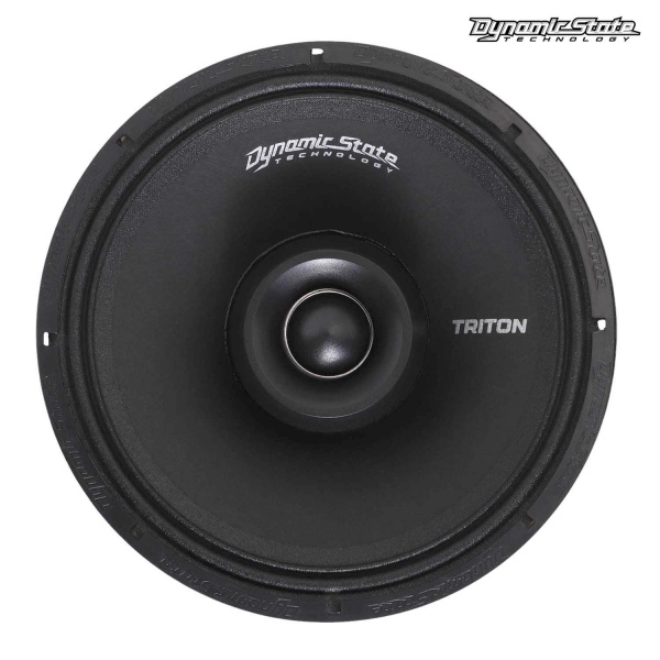 Dynamic State TRITON TS-CX165 Коаксиальная АС (Marine) - цена, описание и отзывы - фото