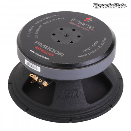 Dynamic State FORCE FM200R Среднечастотник (среднечастотный динамик) - цена, описание и отзывы - фото