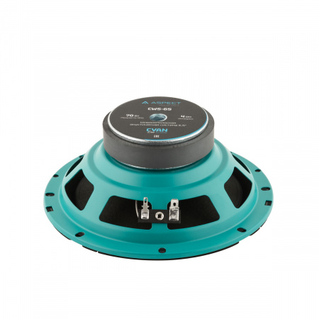 ASPECT CWS-65 Широкополосник (Широкополосный динамик) - цена, описание и отзывы - фото