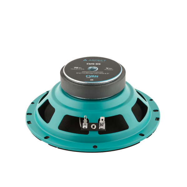 ASPECT CWS-65 Широкополосник (Широкополосный динамик) - цена, описание и отзывы - фото