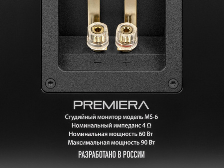 PREMIERA MS-6 BK Встраиваимая домашняя двухполосная акустическая система - цена, описание и отзывы - фото
