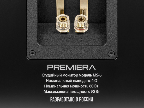 PREMIERA MS-6 BK Встраиваимая домашняя двухполосная акустическая система - цена, описание и отзывы - фото