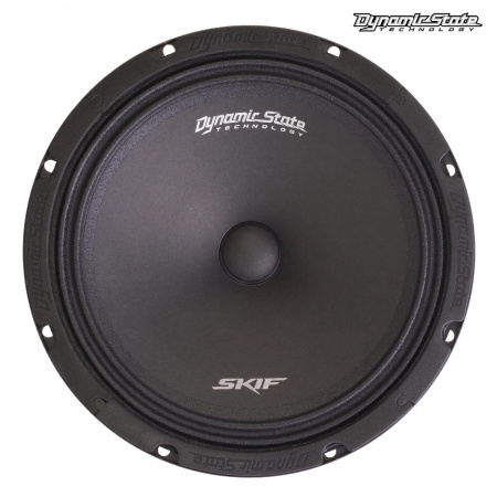 Dynamic State SKIF SKM-20L Среднечастотник (среднечастотный динамик) - цена, описание и отзывы - фото