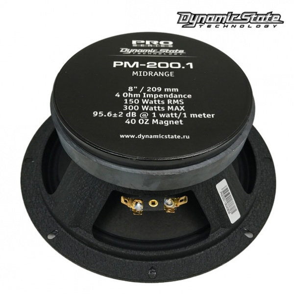 Dynamic State PM-200.1 PRO Series Среднечастотник (среднечастотный динамик) - цена, описание и отзывы - фото