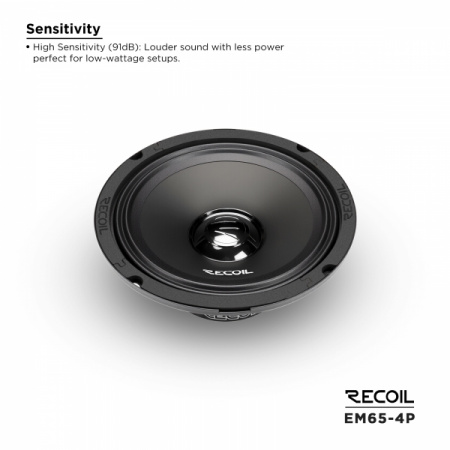 Recoil Audio RM65-4P Среднечастотник (среднечастотный динамик) - цена, описание и отзывы - фото