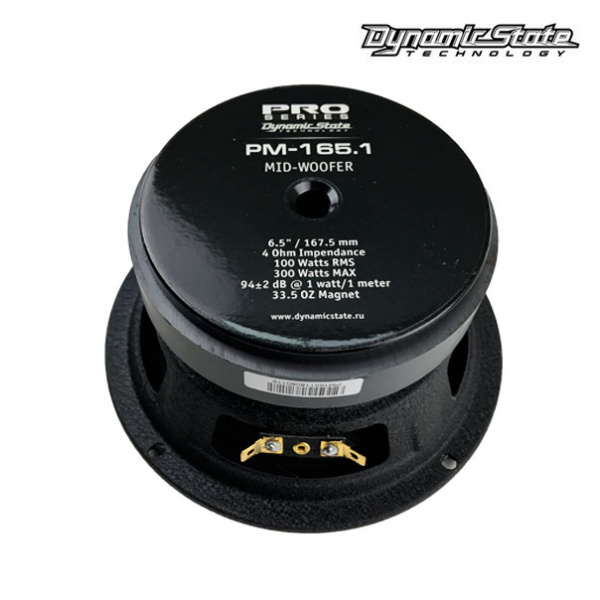 Dynamic State PRO PM-165.1 Среднечастотник (среднечастотный динамик) - цена, описание и отзывы - фото
