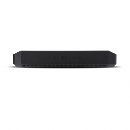 Rockford Fosgate P1000Х2 2-канальный усилитель - цена, описание и отзывы - фото
