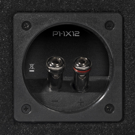 Rockford Fosgate P2-1Х12 Сабвуфер корпусной пассивный - цена, описание и отзывы - фото