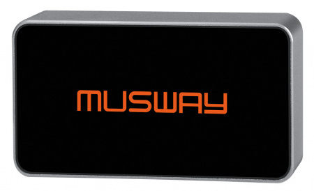 Musway BTS Беспроводной модуль - цена, описание и отзывы - фото