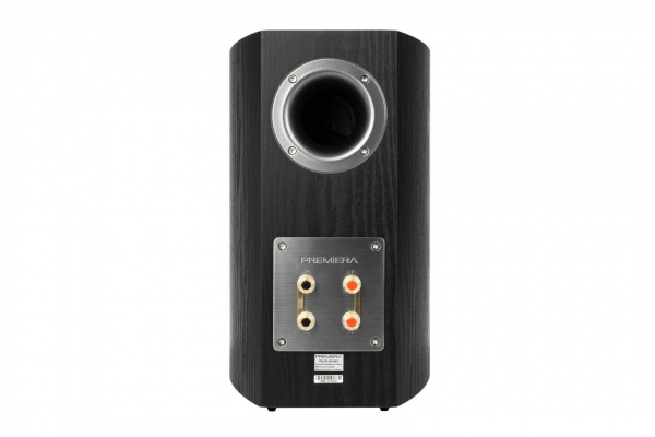 PREMIERA DS-601 BK Встраиваимая домашняя двухполосная акустическая система - цена, описание и отзывы - фото