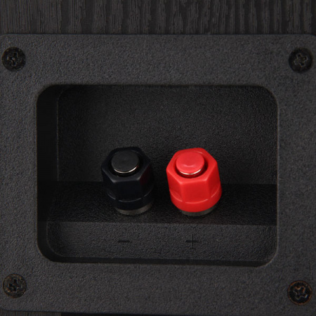 Polk Audio T50 Напольная акустика - цена, описание и отзывы - фото