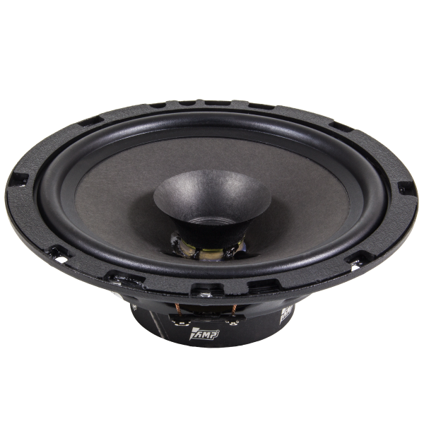 AMP Promo FR65 ver.2 Широкополосник (Широкополосный динамик) - цена, описание и отзывы - фото