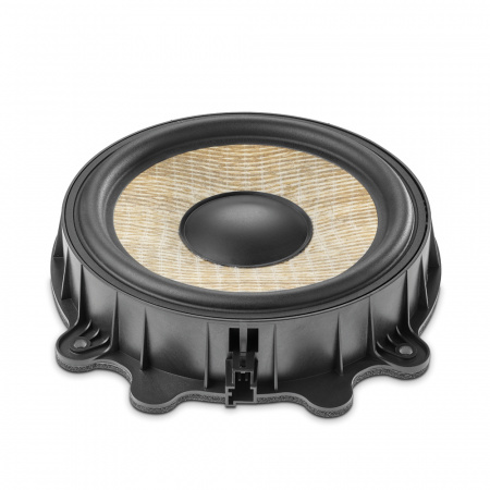 Focal IW T3Y 200 Мидбас - цена, описание и отзывы - фото