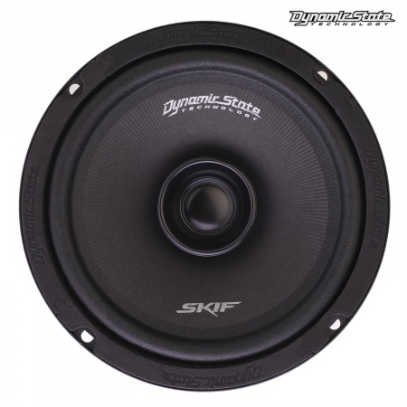 Dynamic State SKIF SKM-165 Среднечастотник (среднечастотный динамик) - цена, описание и отзывы - фото