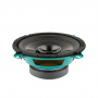 ASPECT CWS-50 Широкополосник (Широкополосный динамик) - цена, описание и отзывы - фото