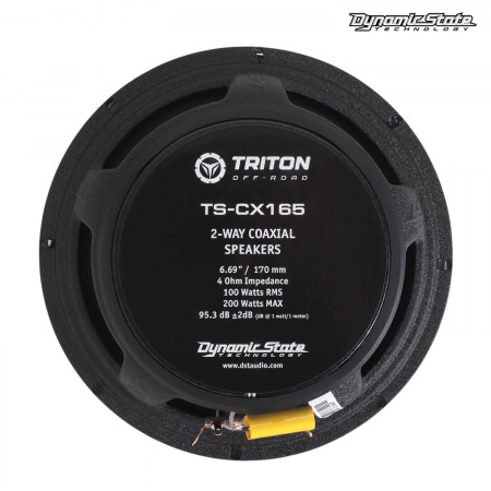 Dynamic State TRITON TS-CX165 Коаксиальная АС (Marine) - цена, описание и отзывы - фото