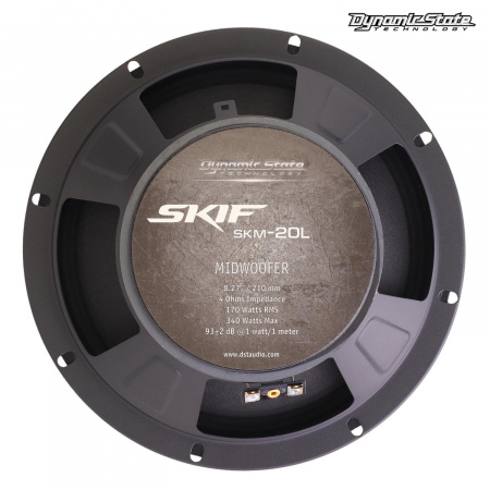 Dynamic State SKIF SKM-20L Среднечастотник (среднечастотный динамик) - цена, описание и отзывы - фото