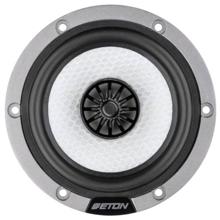 Eton HEX 80 Среднечастотник (среднечастотный динамик) - цена, описание и отзывы - фото